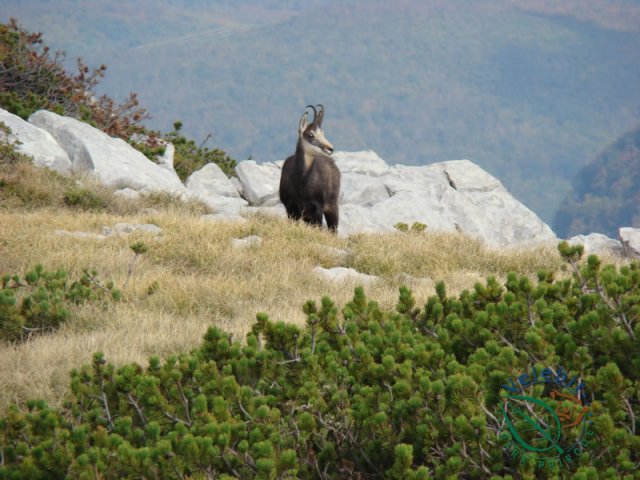 Naturpark Velebit 54